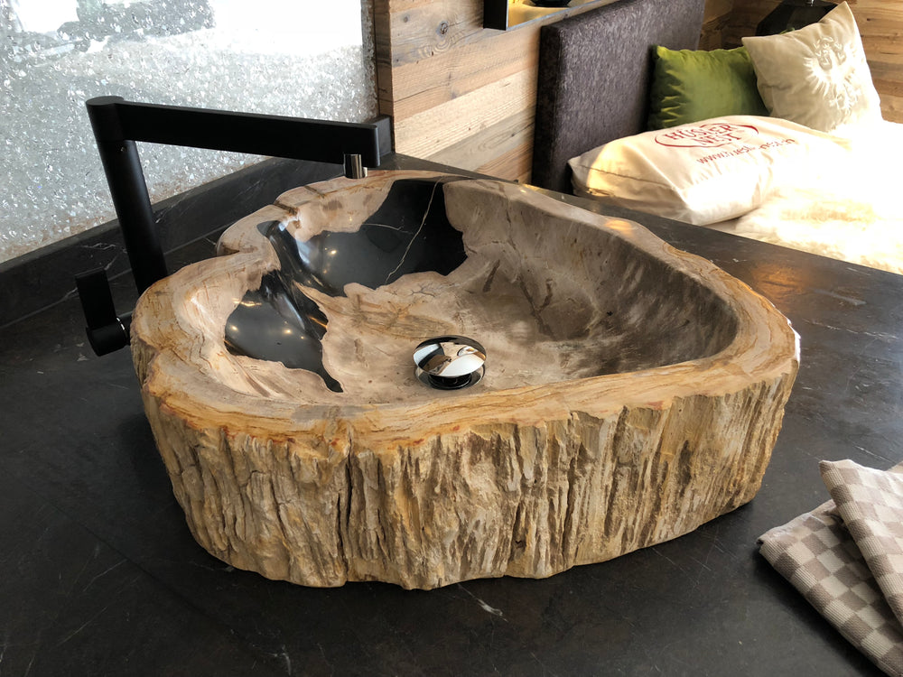 Versteinertes Holz — Bild 2