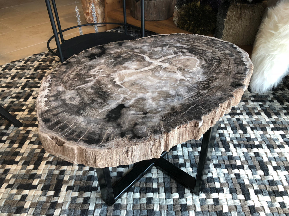 Versteinertes Holz — Bild 3