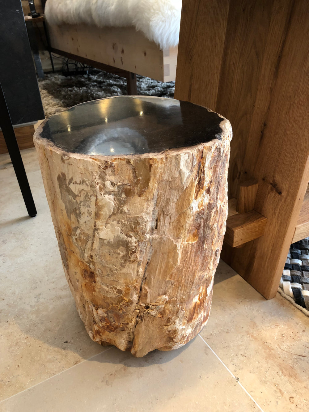 Versteinertes Holz — Bild 4