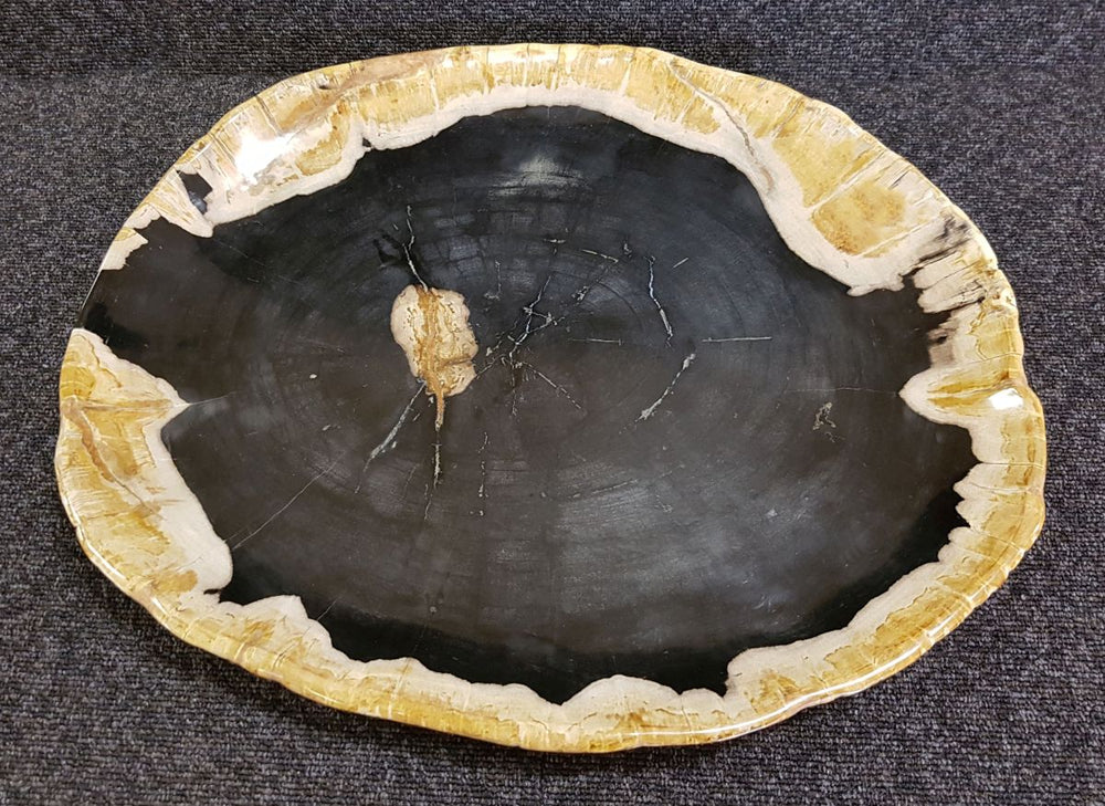 Versteinertes Holz — Bild 6